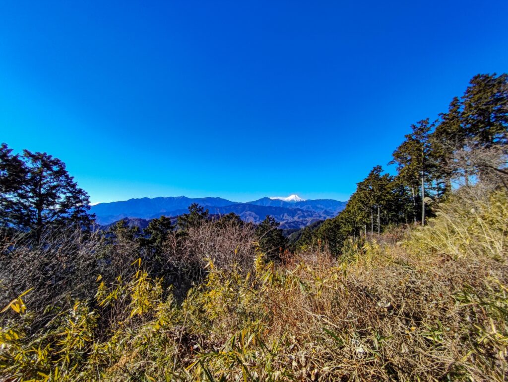 冬のもみじ台からの富士山