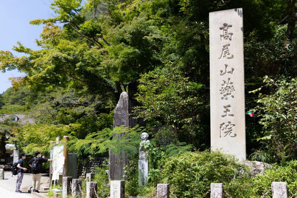 新緑の高尾山