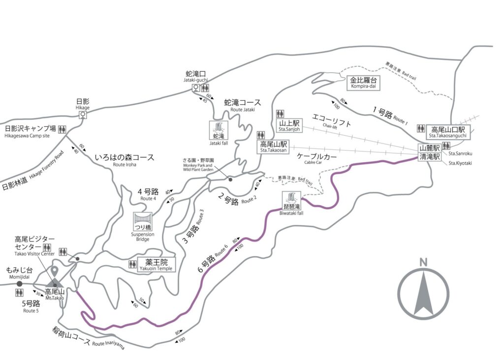route6