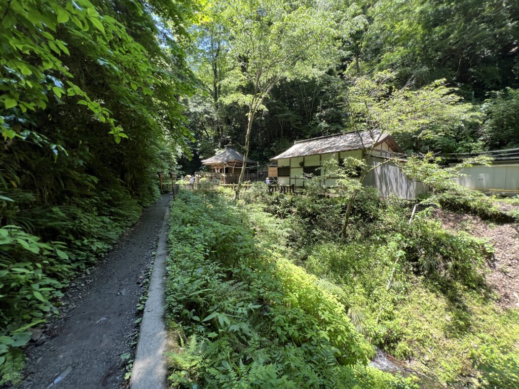 2025-06-05 11.36.14 琵琶滝