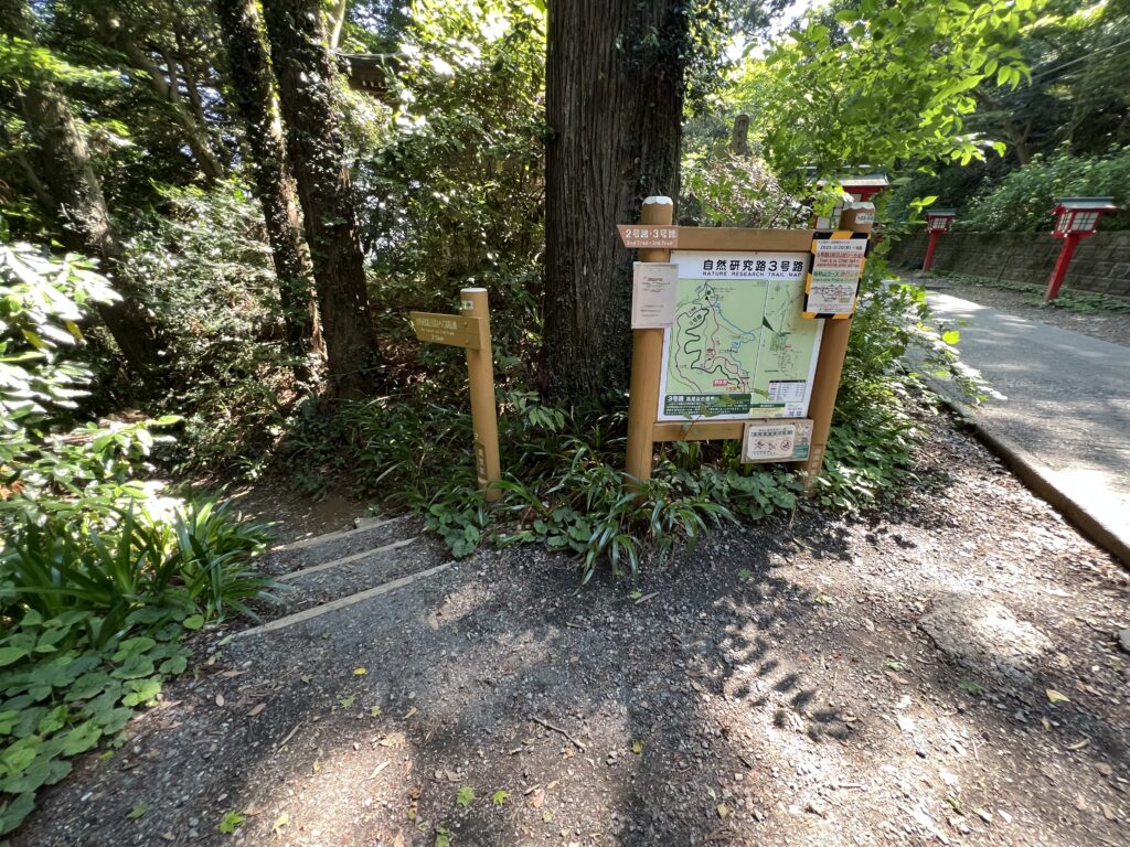 2025-06-05 14.08.38 3号路入口
