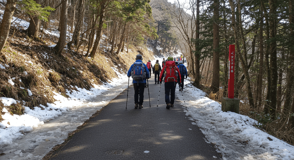 main-paved-path
