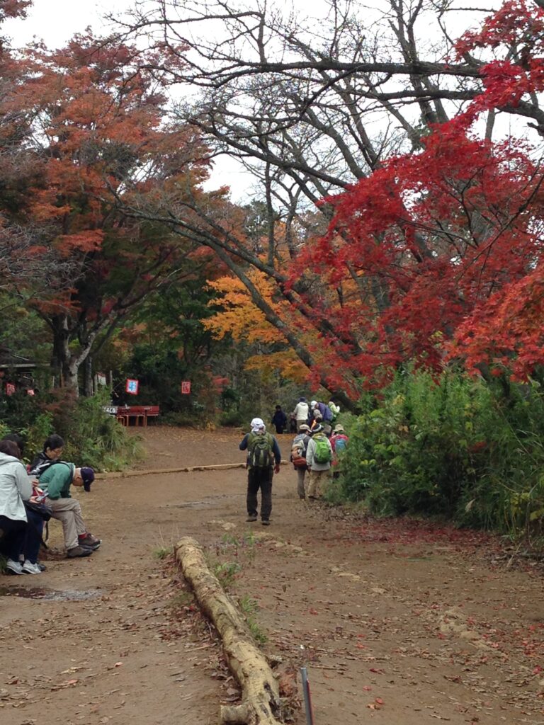 momijidai_2015_02