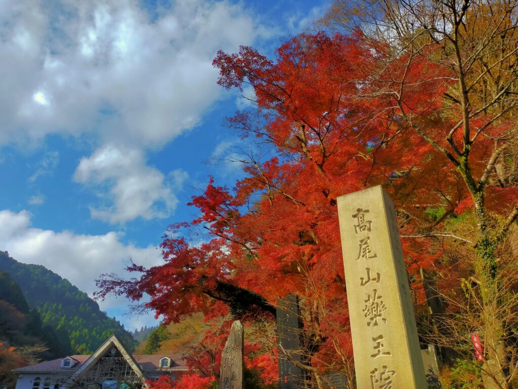 takaosan-koyo-peak