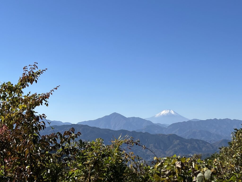 写真 2025-11-14 10 45 45