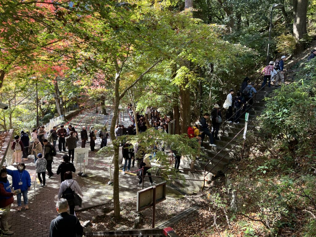 紅葉の見頃の昼、色づいた木の下の参道を大勢の人が歩く様子
