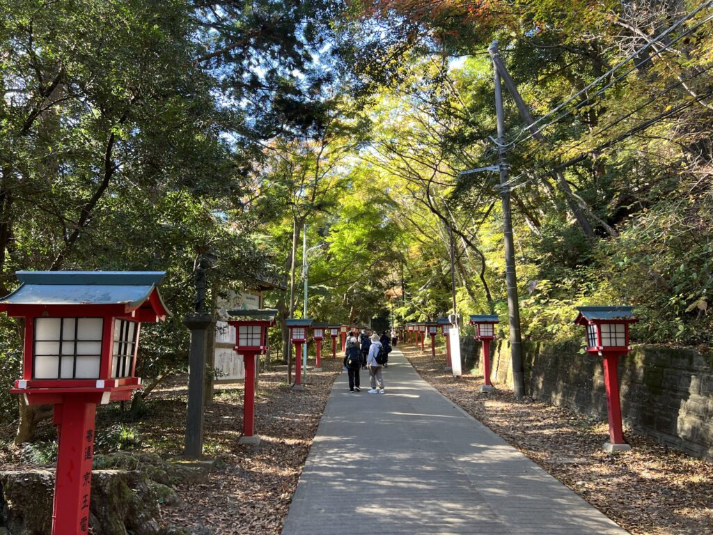 赤い灯籠が並ぶ1号路。高尾山駅から山頂まではこの道を歩いて約40〜50分
