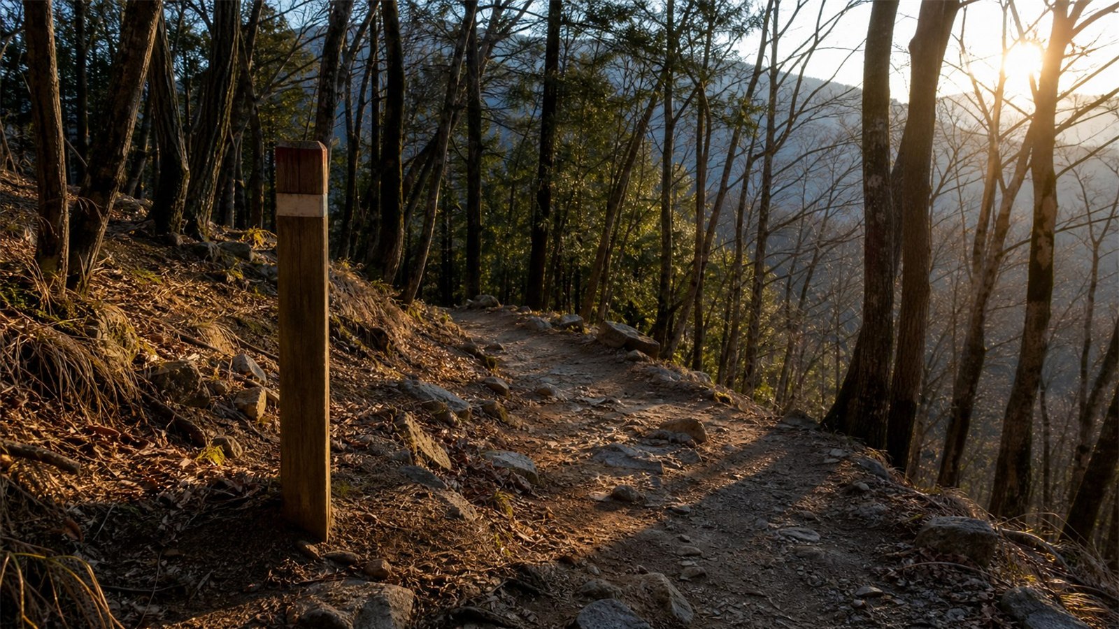 夕暮れの高尾山の登山道と道標