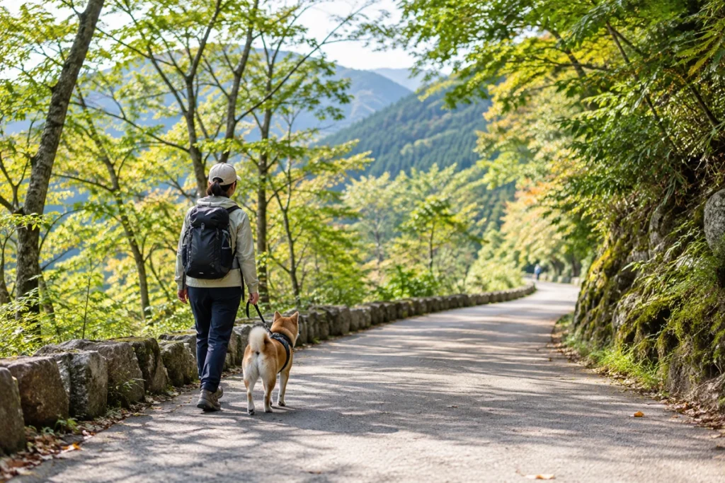 空いている平日の朝、舗装された山道を犬と歩く登山者