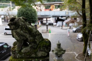 氷川神社臨時駐車場　入口を見下ろす