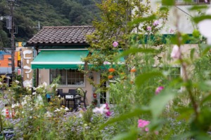 カフェぶなの木　お花畑からの外観