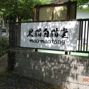 【閉店】黒猫白猫堂(maomaotang) ～氷川神社すぐ横にオープンしたTシャツ屋さん～